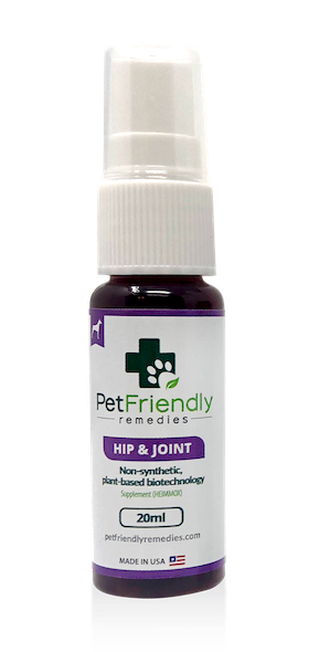 Hip & Joint